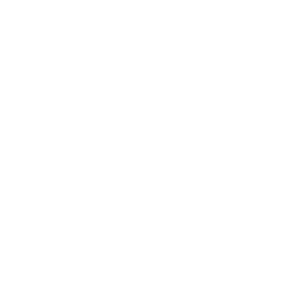 Logo agencia SEO Local en Barcelona